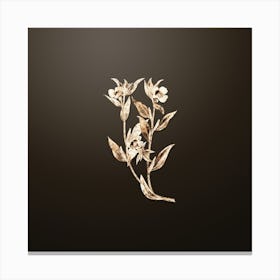 Gold Botanical Long Branched Enothera on Chocolate Brown n.4685 Canvas Print