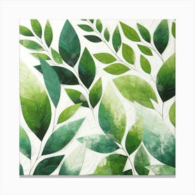 Green Leaves Canvas Print