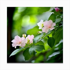 Flowers Leaves Nature Soft Freshness Pastel Botanical Plants Blooms Foliage Serene Delic (4) Canvas Print