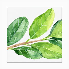 Watercolor Leaf Painting Canvas Print