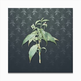 Vintage Commelina Zanonia Botanical on Slate Gray Pattern n.2414 Canvas Print