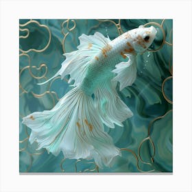 Siamese Catfish 12 Canvas Print