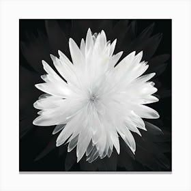 White Flower 1 Canvas Print