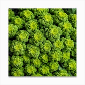 Green Broccoli At The Market 1 Canvas Print