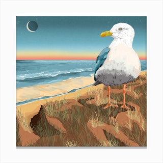 Seagull At The Beach Square Canvas Print