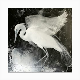 White Egret 3 Canvas Print