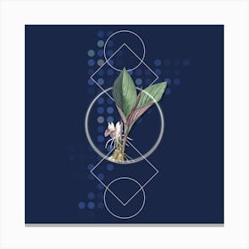 Vintage Koemferia Longa Botanical with Geometric Line Motif and Dot Pattern n.0062 Canvas Print