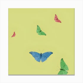 Butterfly Arts Canvas Print