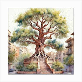 Olive Tree In Barcelona Canvas Print