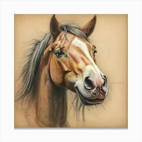 Horse Portrait 5 Canvas Print