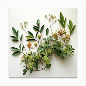 Botanical Arrangement Canvas Print