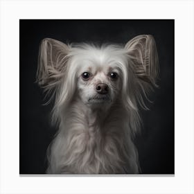 Portrait Of A Dog 17 Canvas Print