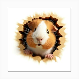 Guinea Pig 25 Canvas Print