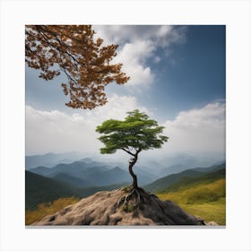 Lone Tree On A Rock Canvas Print