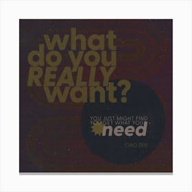 You Get What You Need Canvas Print