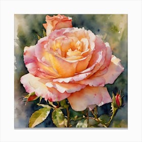 Grandiflora Rose Canvas Print