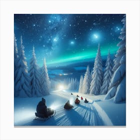 Night sledding Canvas Print