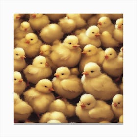 Flock Of Chickens Canvas Print