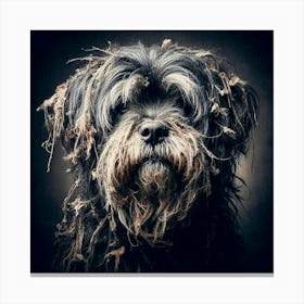 Old Dog 03 Canvas Print