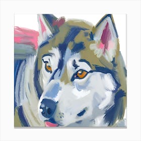 Siberian Husky 03 Canvas Print