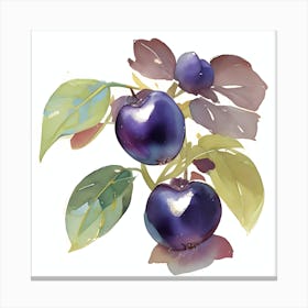 Prune Canvas Print