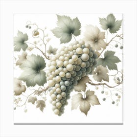 White Grapes and Vine 1 Canvas Print