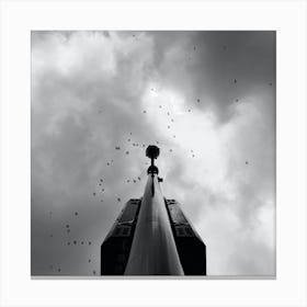 Black And White Image Of Birds Flying In The Sky Canvas Print