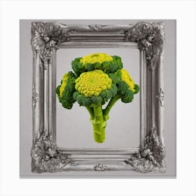 Floret Of Broccoli 1 Canvas Print