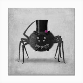 Mr Spider Canvas Print