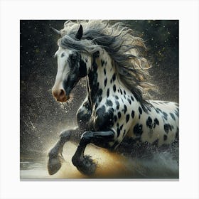 Horse Running In Water 7 Canvas Print