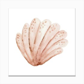 Pink Seashell 4 Canvas Print