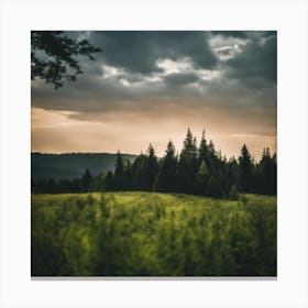 Sunset In The Forest Canvas Print