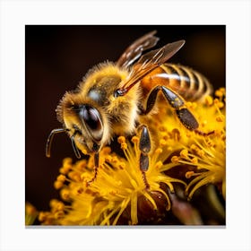 Bee On Yellow Flower Canvas Print