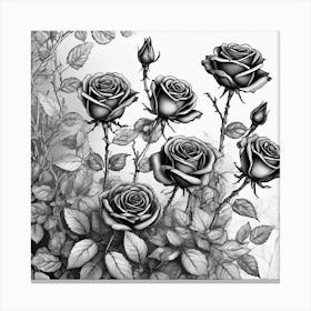 Roses In Black And White Canvas Print