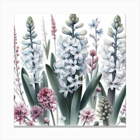 Hyacinths 1 Canvas Print