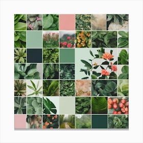 Green And Pink Plants Canvas Print