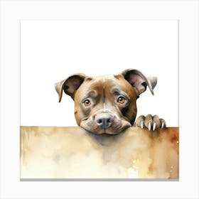 Staffordshire Bull Terrier Dog 5 Canvas Print