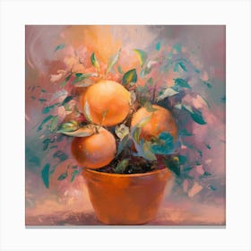 Oranges In A Pot 17 Canvas Print