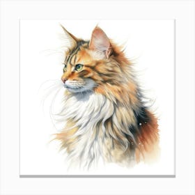 Cymric Longhair Manx Cat Portrait Canvas Print