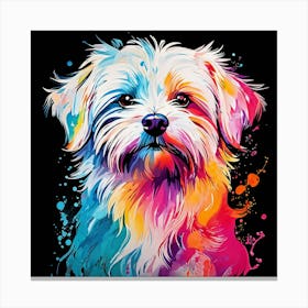 Shih Tzu Canvas Print