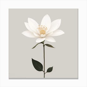 Simple White Flower Canvas Print