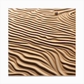 Sand background 1 Canvas Print