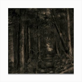 Dark (158) Canvas Print