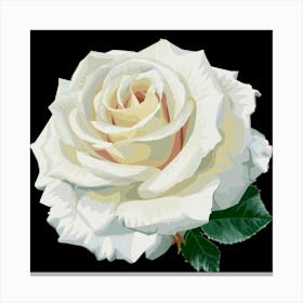 White Rose 1 Canvas Print