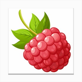 Raspberry Canvas Print