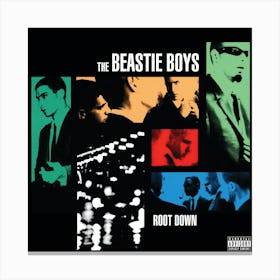 Beastie Boys Albums Canvas Print