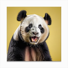 Panda Bear Canvas Print