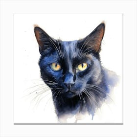 California Spangled Black Cat Portrait Canvas Print