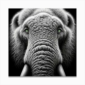 Elephant Tusks Canvas Print