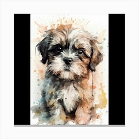 Shih Tzu Canvas Print